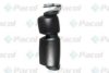 PACOL IVE-MR-005L Outside Mirror